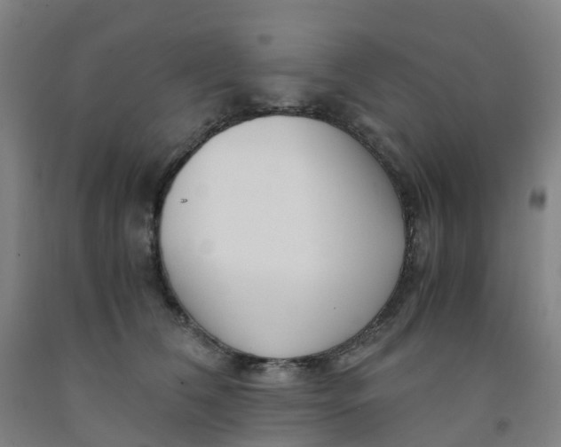 X0000091980612200709271428