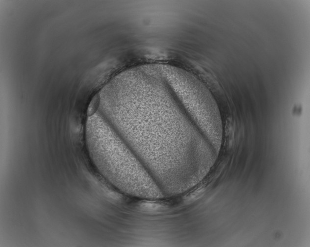 X0000091980614200709271428