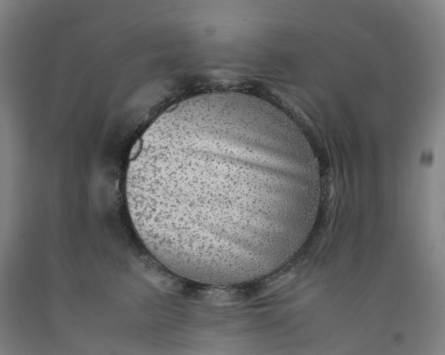 X0000091980615200709271428