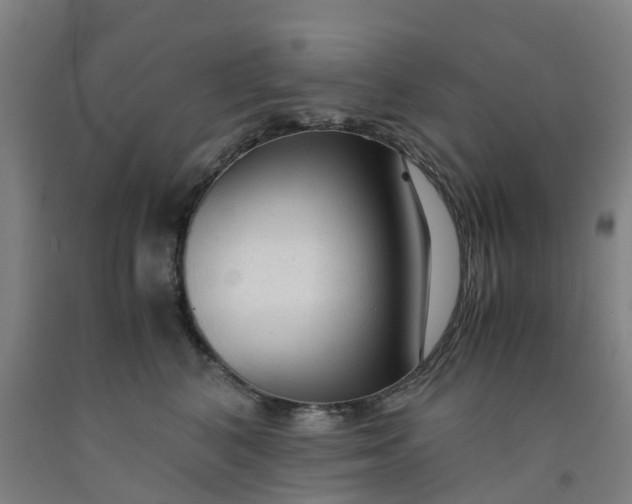 X0000091980616200709271428