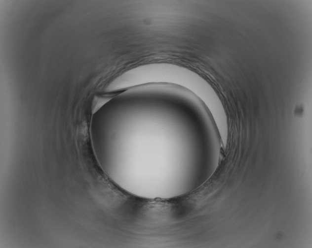 X0000091980617200709271428
