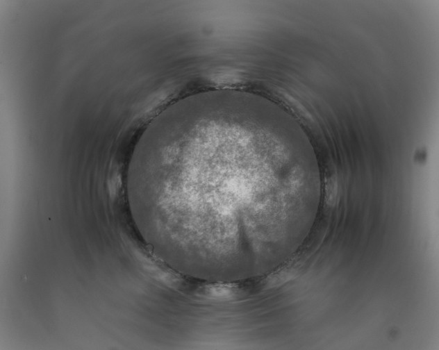 X0000091980618200709271428