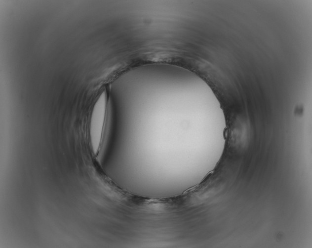 X0000091980620200709271428