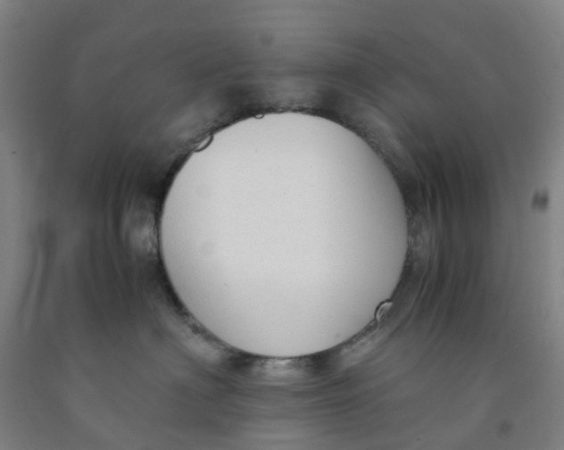 X0000091980622200709271428