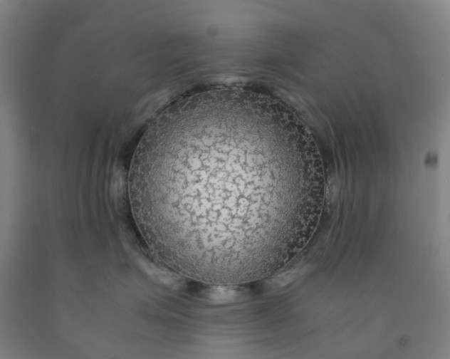 X0000091980623200709271428