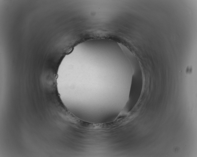 X0000091980624200709271428