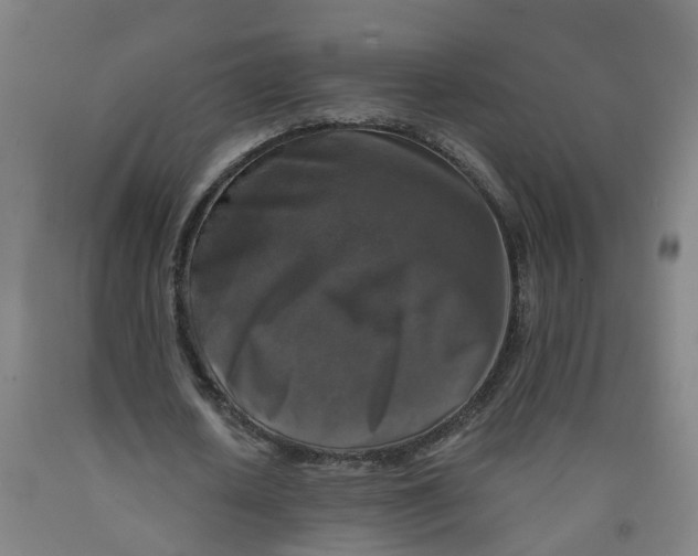 X0000091980626200709271427