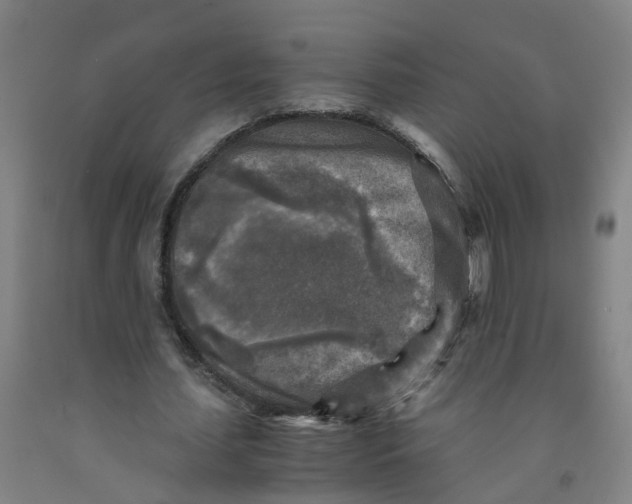 X0000091980627200709271427