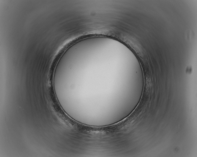 X0000091980628200709271427
