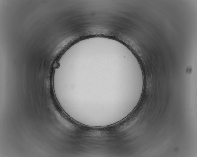 X0000091980629200709271427