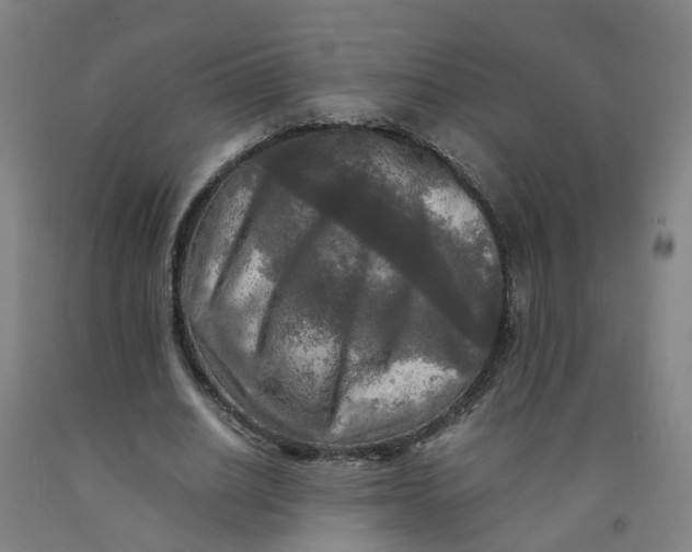 X0000091980630200709271428