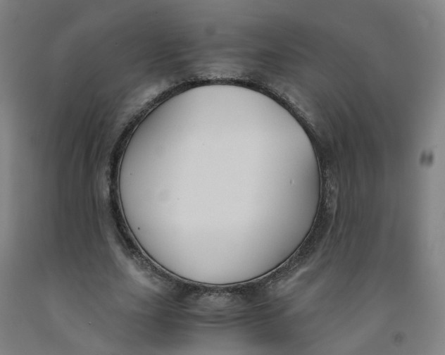 X0000091980631200709271428
