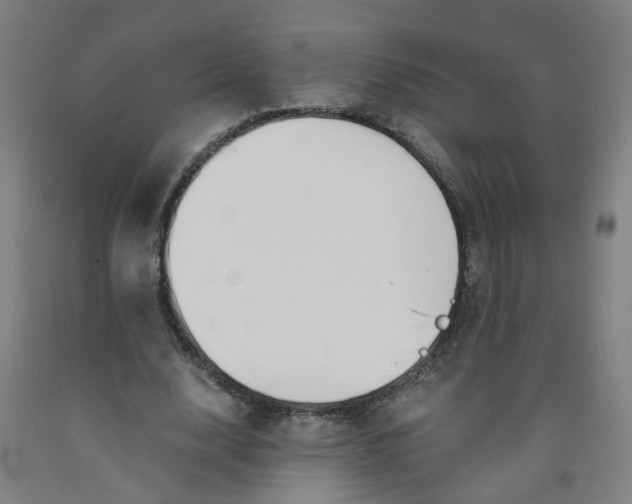 X0000091980632200709271428