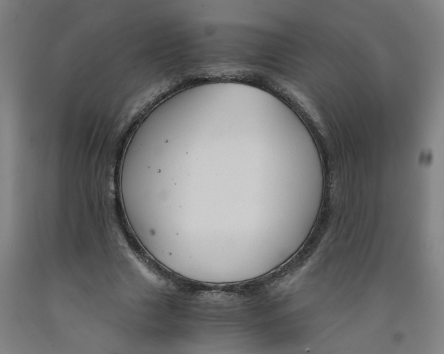X0000091980633200709271428