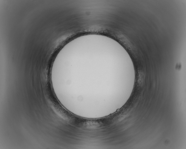 X0000091980636200709271428