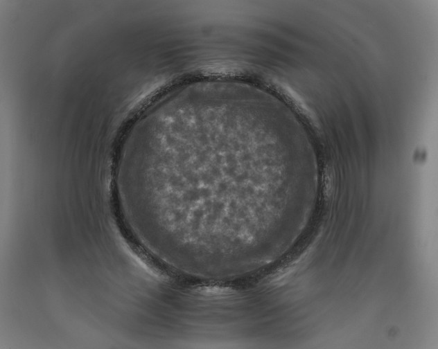 X0000091980637200709271428