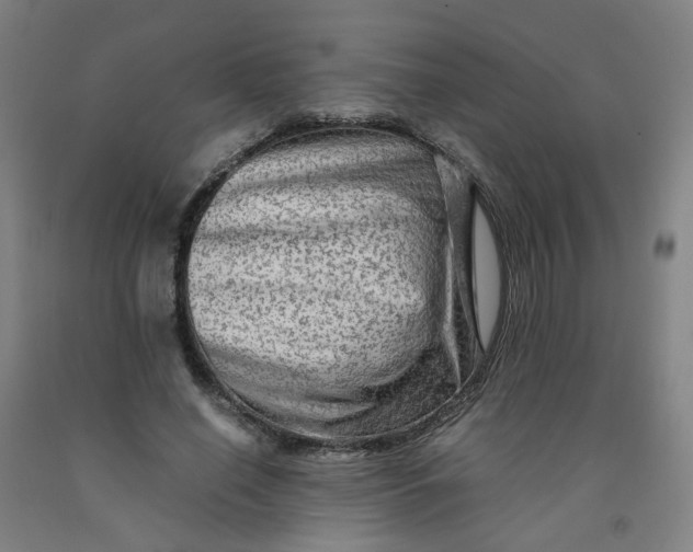 X0000091980638200709271428