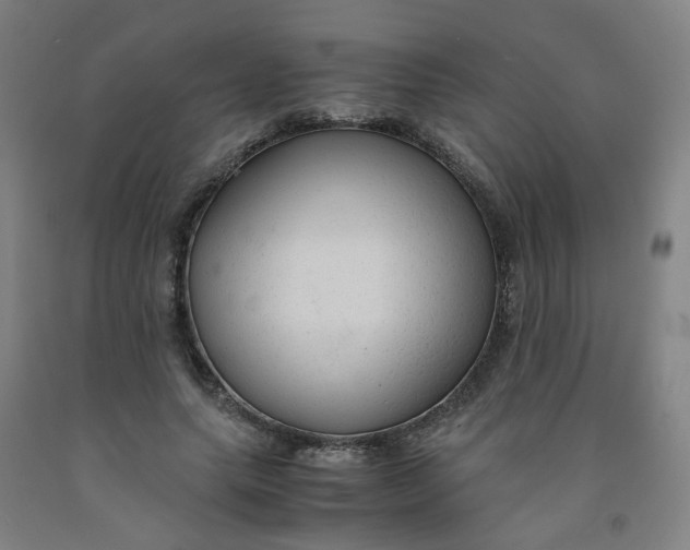 X0000091980639200709271428