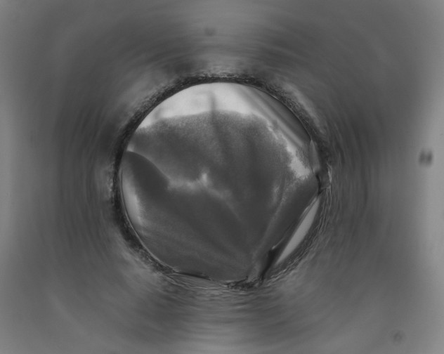 X0000091980640200709271428