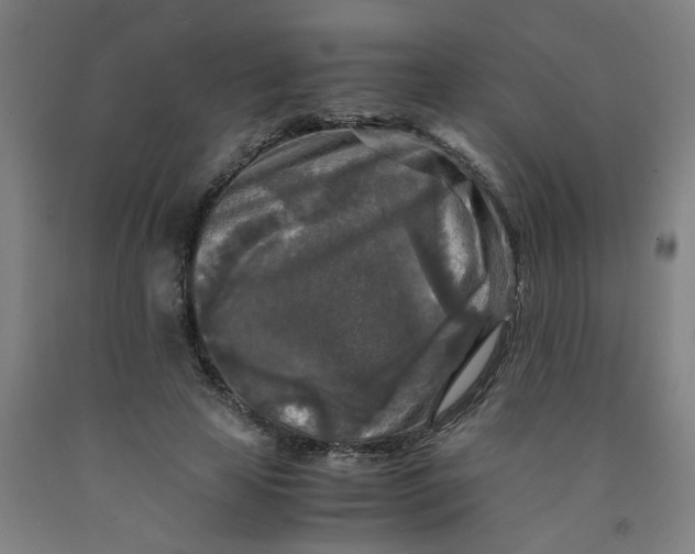 X0000091980641200709271428
