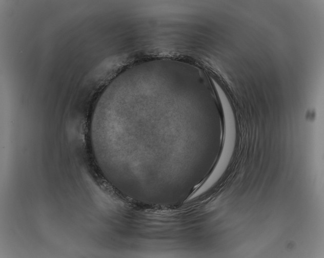 X0000091980643200709271428