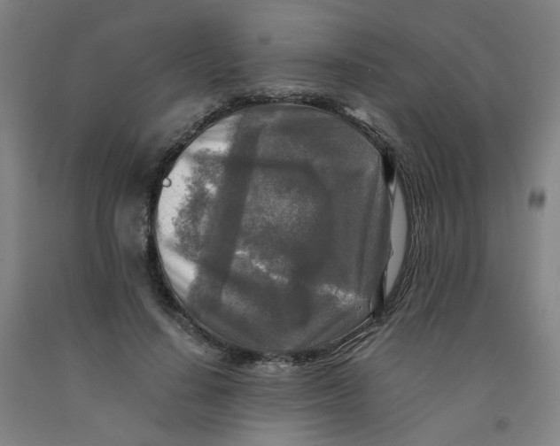 X0000091980644200709271428