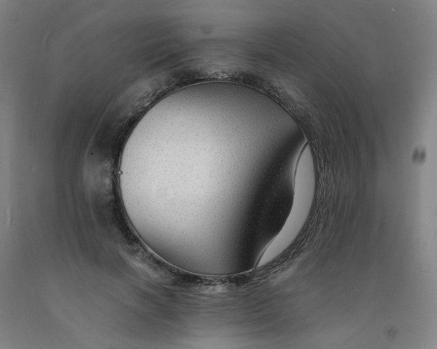 X0000091980646200709271428