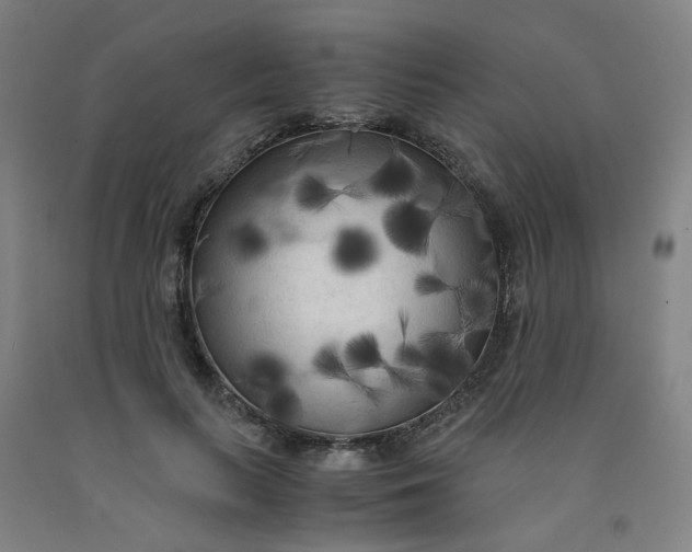 X0000091980647200709271428