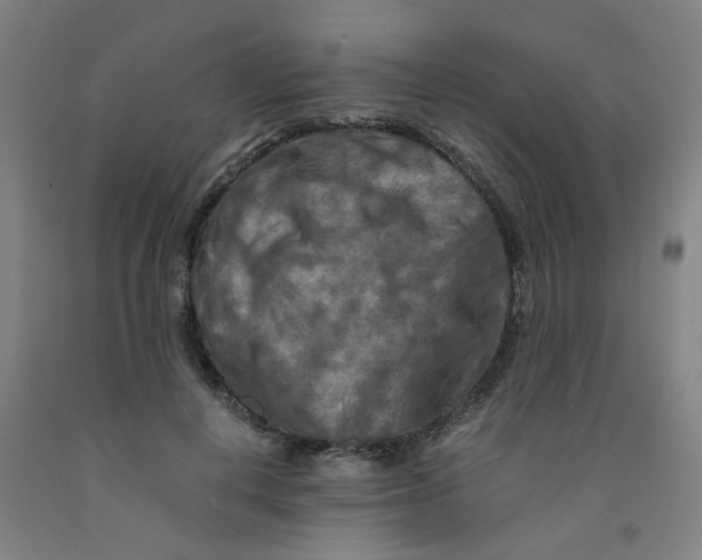 X0000091980648200709271428