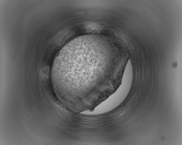 X0000091980649200709271428