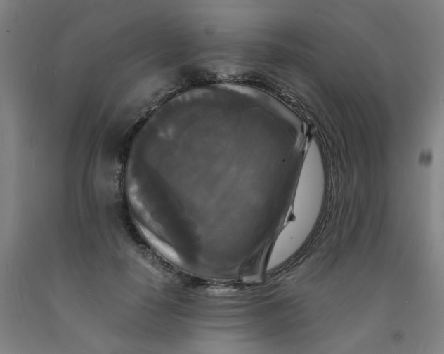 X0000091980650200709271428