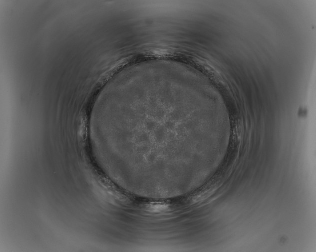 X0000091980651200709271428