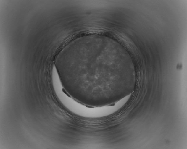 X0000091980653200709271428
