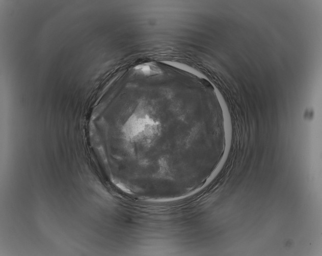 X0000091980654200709271428