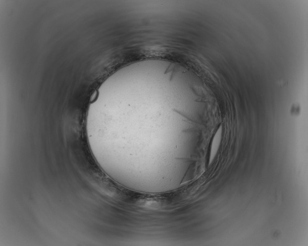 X0000091980655200709271428