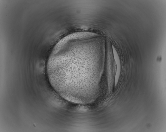 X0000091980656200709271428