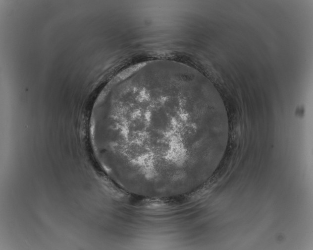 X0000091980658200709271428