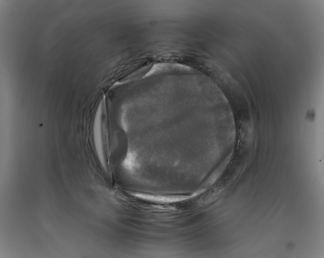 X0000091980659200709271428