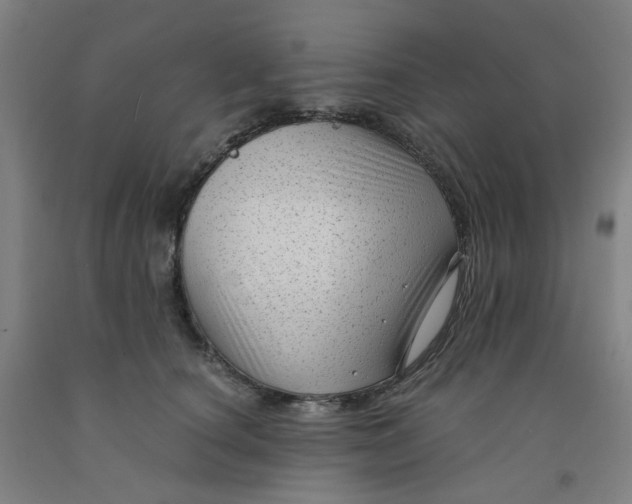 X0000091980660200709271428