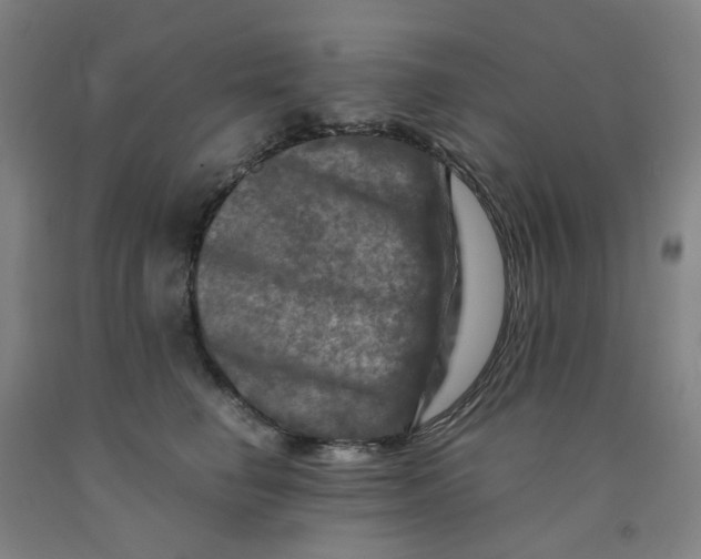 X0000091980662200709271428