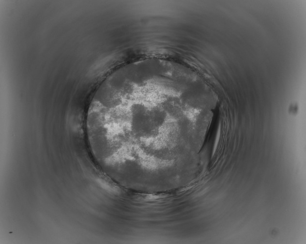 X0000091980663200709271428
