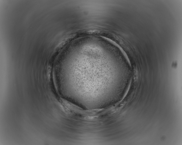X0000091980664200709271428