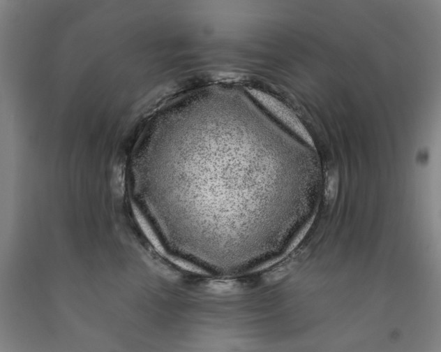 X0000091980666200709271428