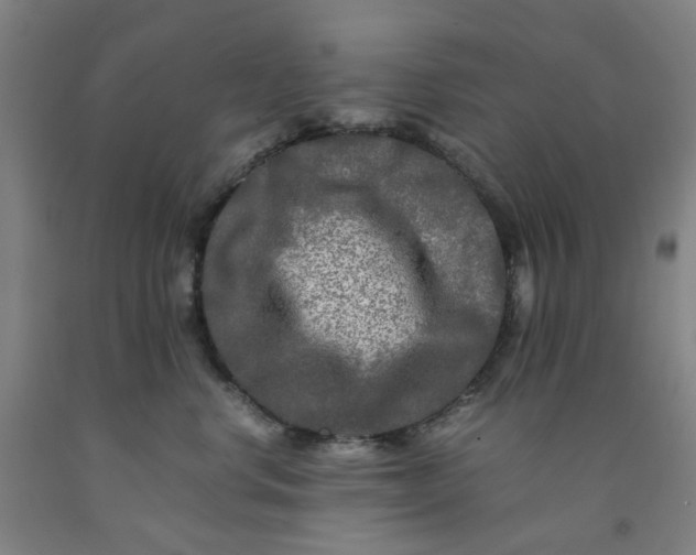 X0000091980668200709271428