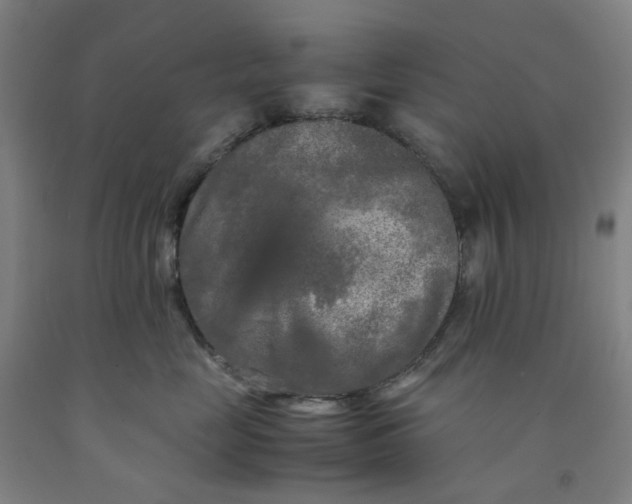X0000091980669200709271428