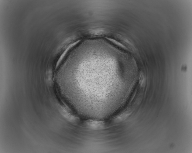 X0000091980670200709271428