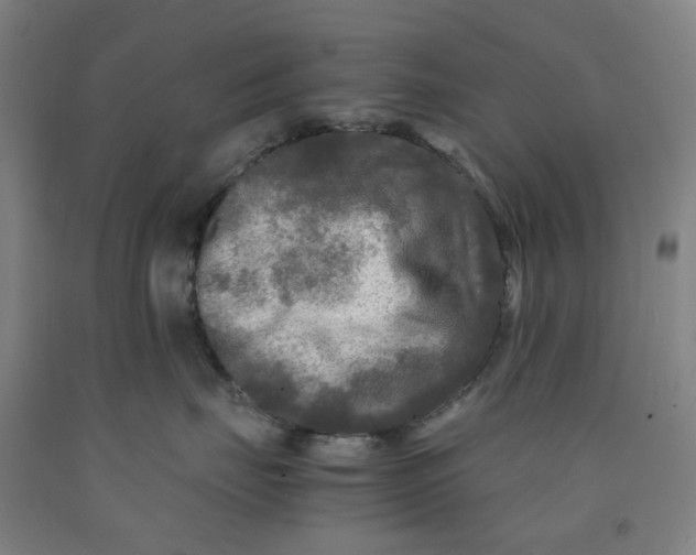 X0000091980671200709271428