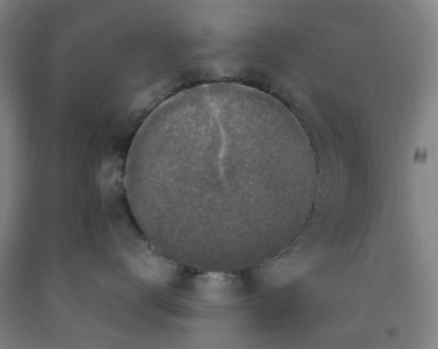 X0000091980672200709271428