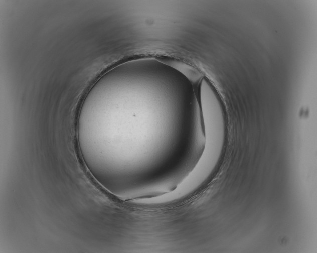 X0000091980673200709271427