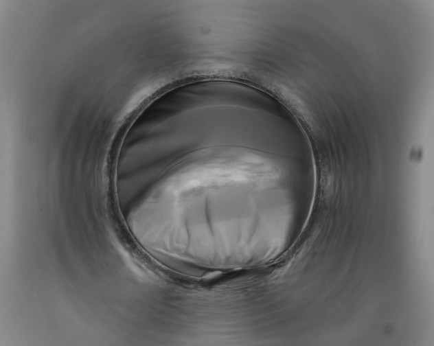 X0000091980674200709271427